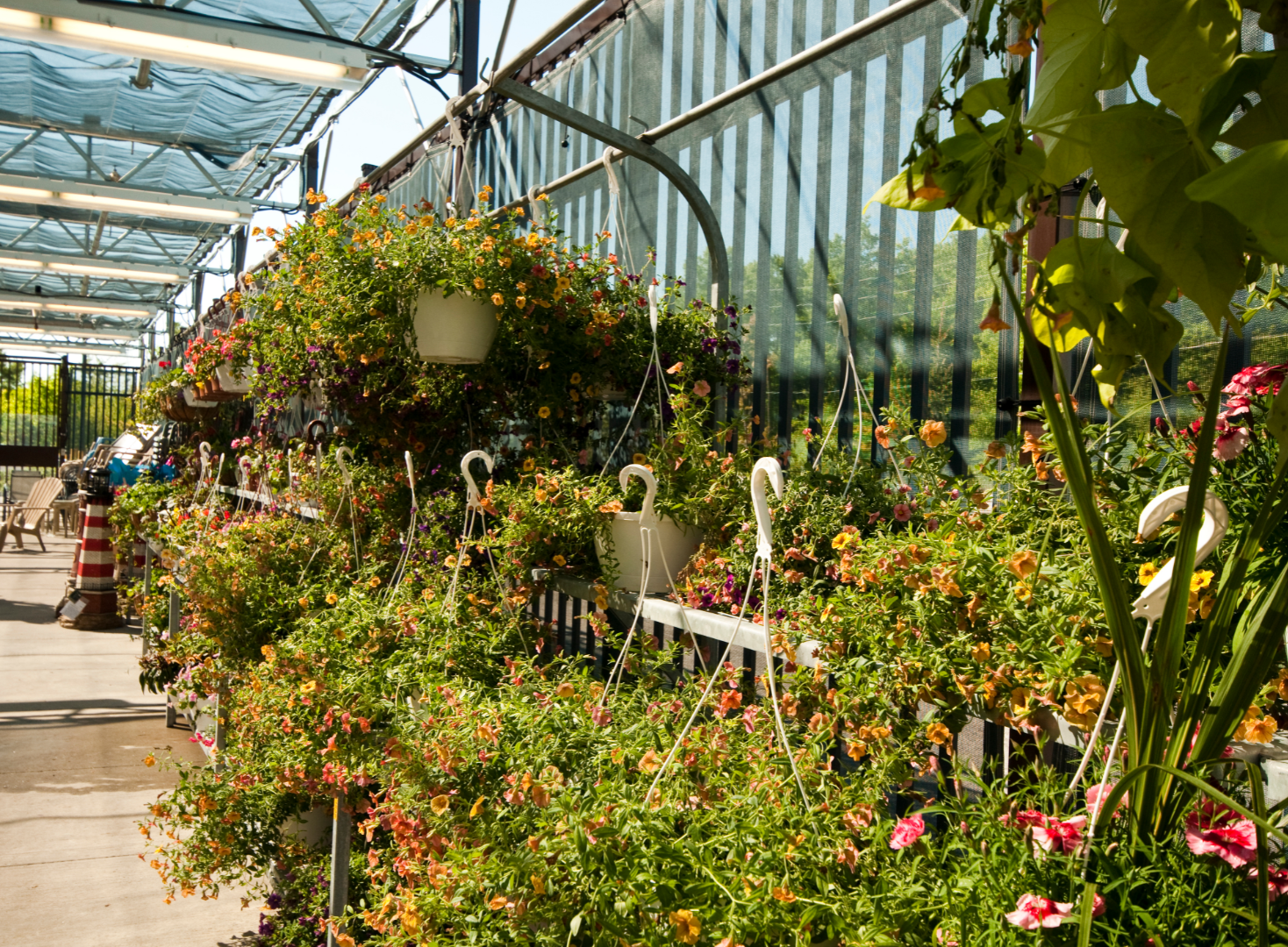Garden Centre Free on Loan Coffee MAchine